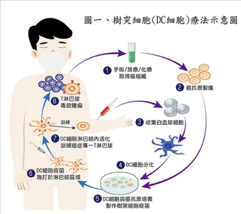 细胞治疗：未来医疗的希望之光