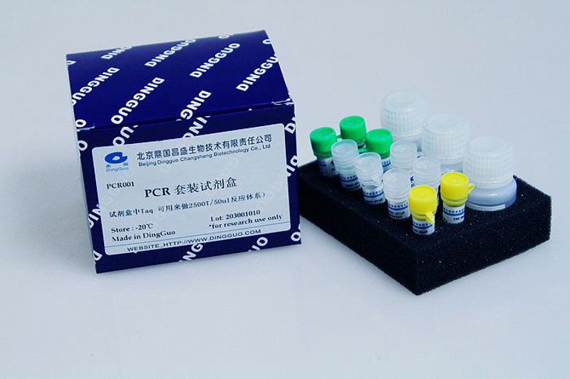基因检测：开启精准医疗时代的新篇章