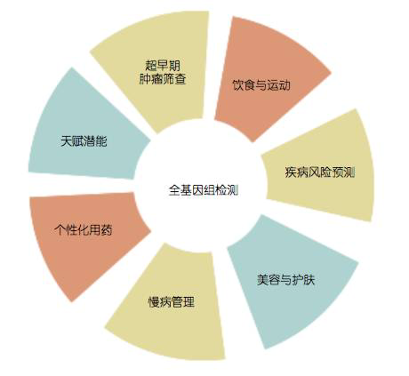生物科技：科技与生命的完美邂逅